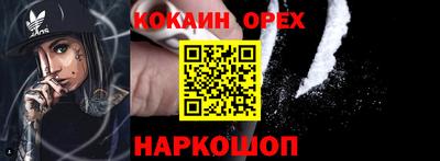 шишки Будённовск