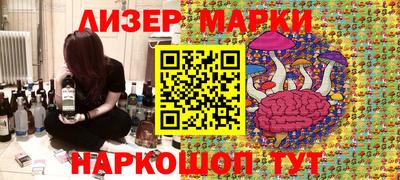 шишки Будённовск