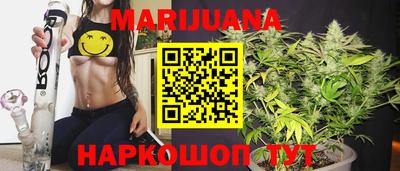 шишки Будённовск